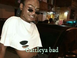 Cattleya_bad
