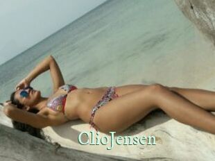 ClioJensen Top Blog X
