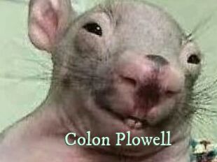 Colon_Plowell