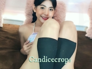 Candicecrops