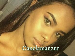 Canelamanzur