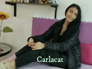 Carlacat