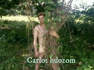 Carlot_hdozom