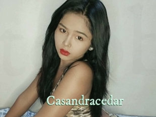 Casandracedar