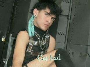 Cat_bad