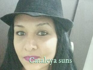 Cataleya_suns