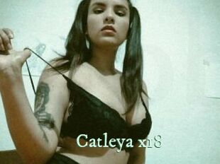 Catleya_x18