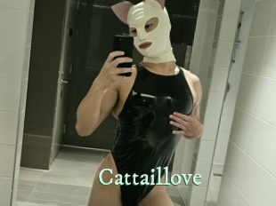 cattaillove Top Blog X