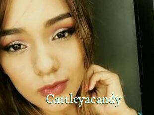 Cattleyacandy