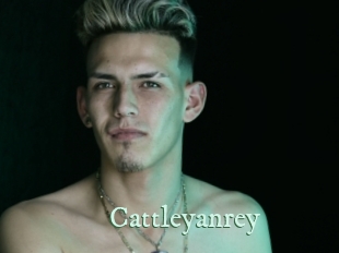 Cattleyanrey