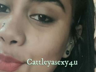 Cattleyasexy4u