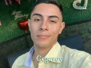 Cegavoy