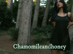 Chamomileandhoney