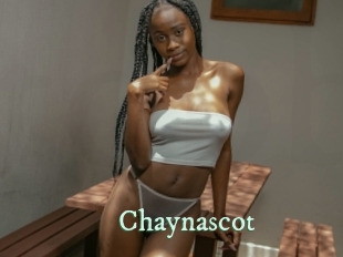 Chaynascot