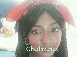 cheilavenus Top Blog X
