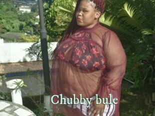 Chubby_bule