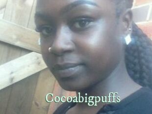 Cocoabigpuffs