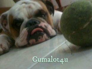 Cumalot4u