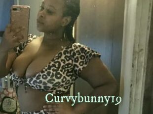 Curvybunny19