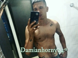 Damianhorny24