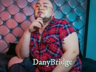 DanyBridge