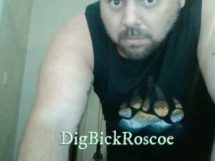 DigBickRoscoe