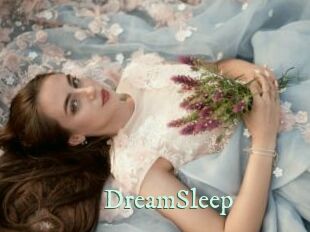 DreamSleep