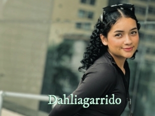 Dahliagarrido