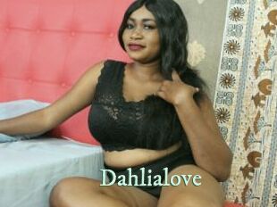 Dahlialove