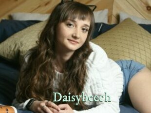 Daisybeech