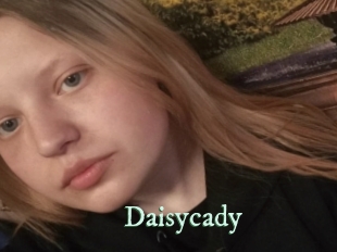 Daisycady