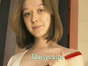 Daisycaspe