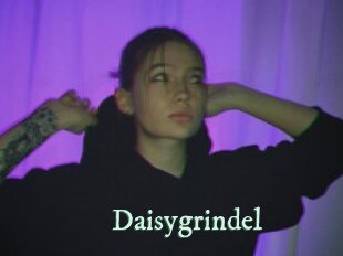 Daisygrindel