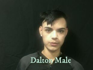 Dalton_Male