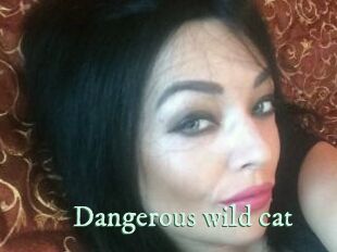 Dangerous_wild_cat