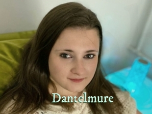 Dantelmure