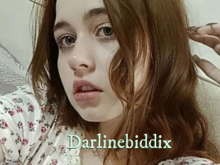 Darlinebiddix