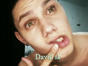 David_sk