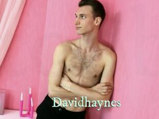 Davidhaynes