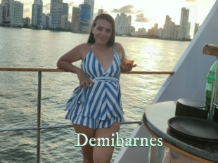 Demibarnes