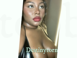 Destinytorn