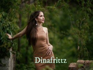 Dinafrittz