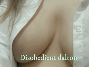 Disobedient_dalton