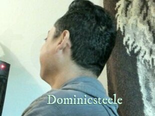 Dominicsteele