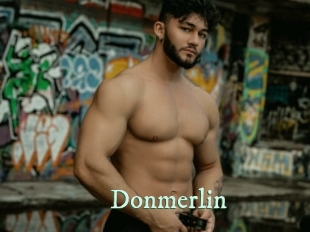 Donmerlin