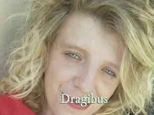 Dragibus