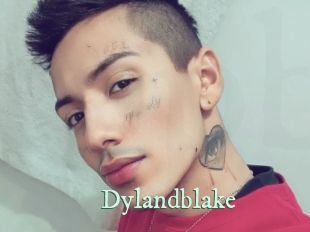 Dylandblake