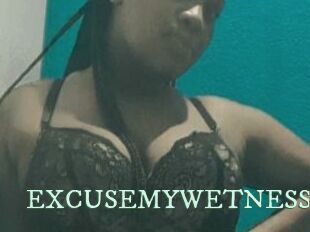 EXCUSEMYWETNESS