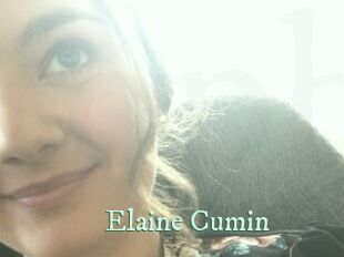 Elaine_Cumin Top Blog X