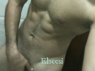 Elseesi